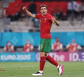 帕利尼亚硬气回击批评，展望北伦敦德比